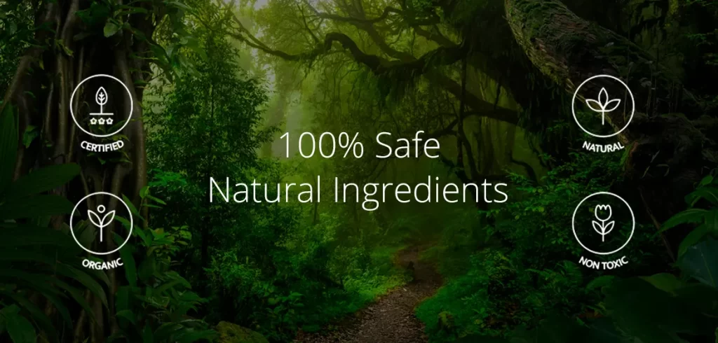 How we Explore the natural ingredients to Eco marvy