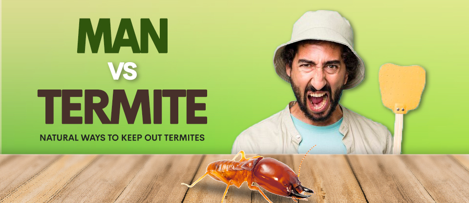Man vs Termites - Natural Ways to Keep Out Termites