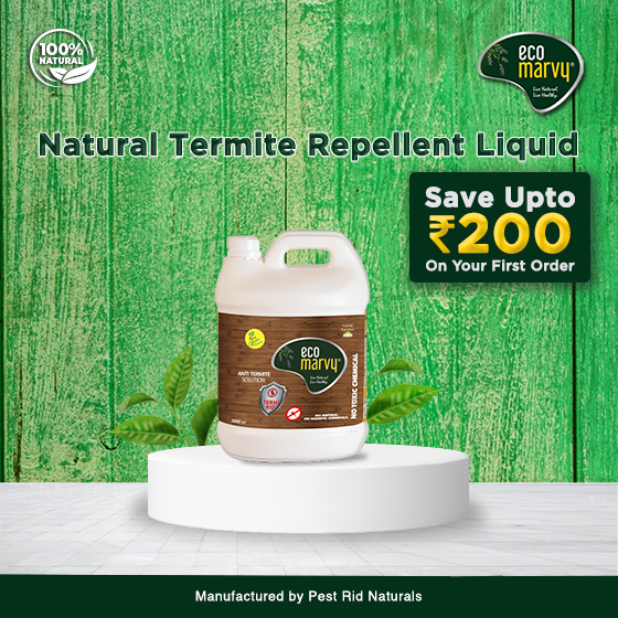 Natural termite control liquid