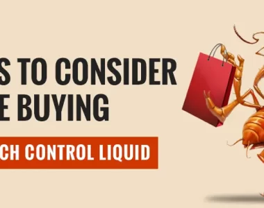 Things to Consider before Buying Cockroach Control Liquid