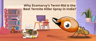 Best Termite Killer Spray in India Eco Marvy | Why?