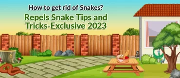 How to get rid of snakes