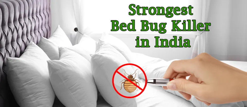 strongest bed bug killer for mattress