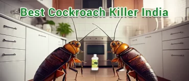 Best Cockroach Killer India Eco Marvy | Why?