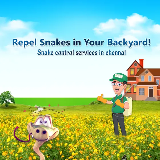 How to Keep Snakes Away reaching Pest Control Service