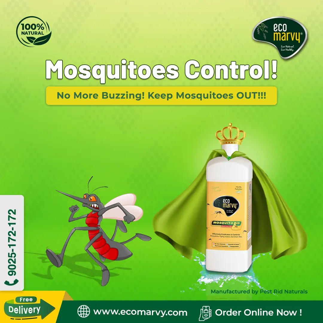 Bed bug Mosquito 2in1