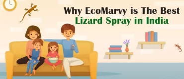Best Lizard Spray in India Eco Marvy | Why?