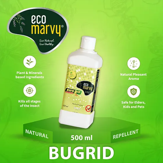 Why is our product the Strongest bed bug killer in India