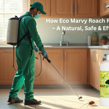 How Eco Marvy Roach Rid Works – A Natural, Safe & Effective Cockroach Solution