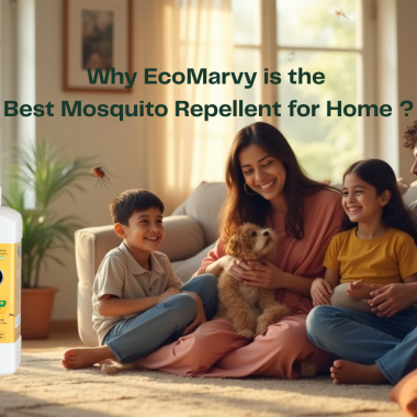 Why EcoMarvy is the Best Mosquito Repellent for Home – Protect Your Family Naturally