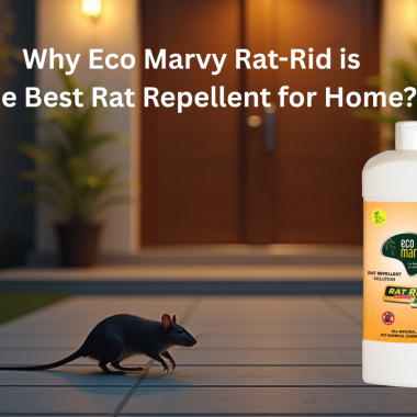 Why Eco Marvy Rat-Rid is the Best Rat Repellent for Home?