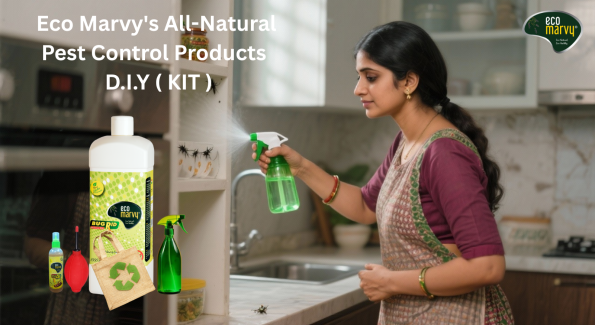 Eco Marvy's all-natural pest control products and DIY Kit