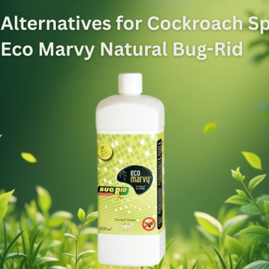 Non-Toxic Alternatives for Cockroach Spray – Try Eco Marvy Natural Bug-Rid