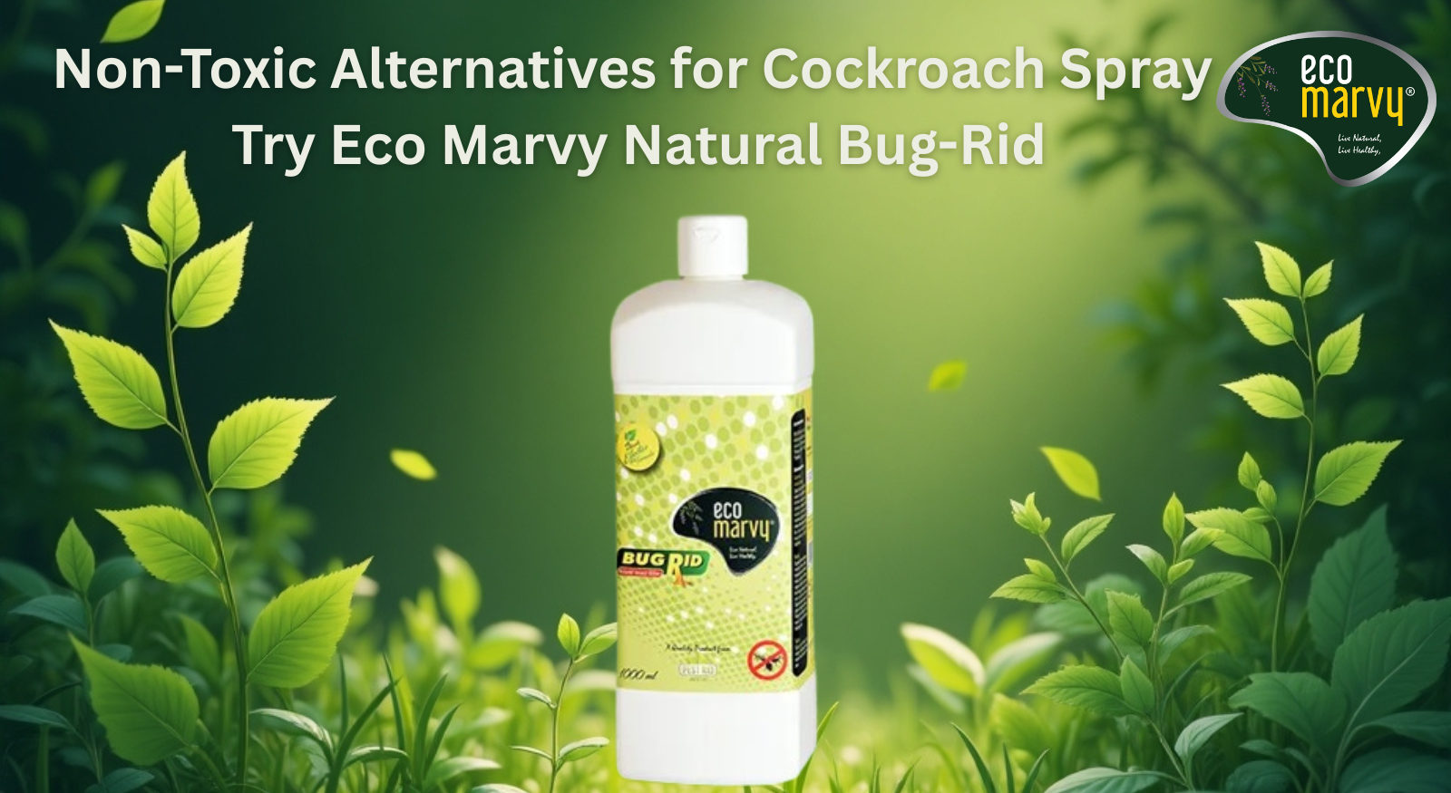 non-toxic alternatives for cockroach spray