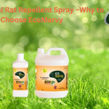 Best Natural Rat Repellent Spray – Why to Choose Eco Marvy