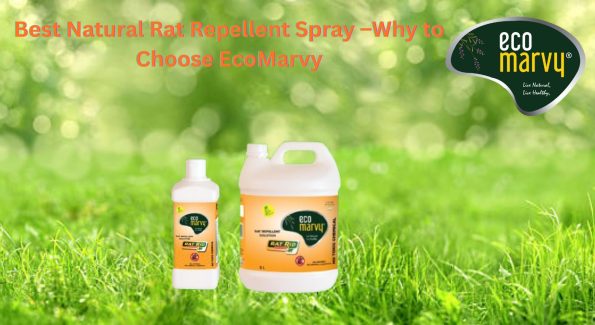 Best Natural Rat Repellent Spray