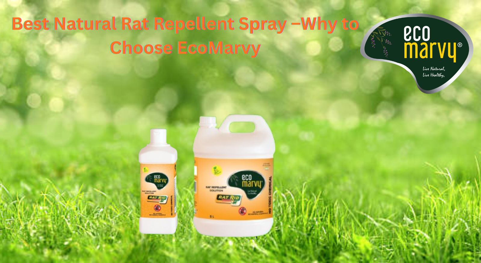 Best Natural Rat Repellent Spray